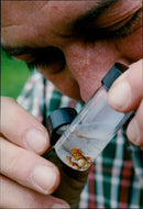 Lawrence Bee - Vintage Photograph