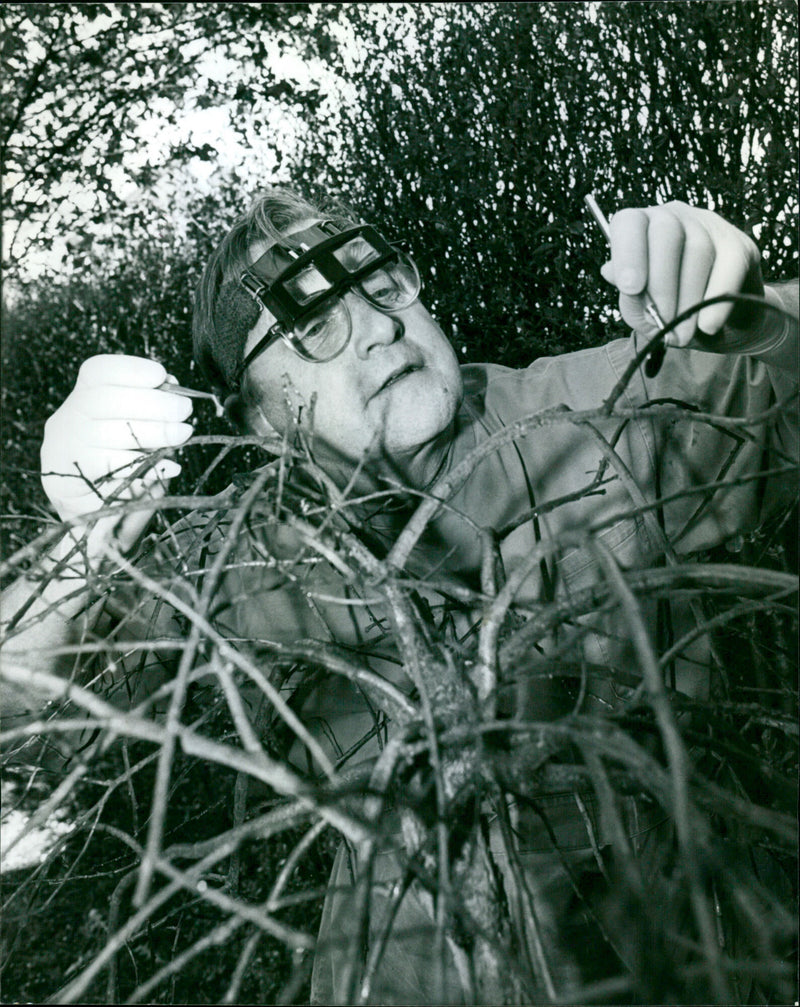 Karl Bailey - Vintage Photograph