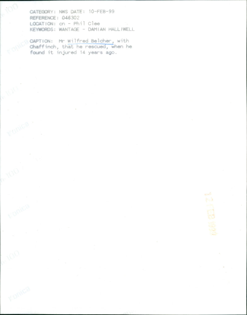 Wilfred Belcher - Vintage Photograph