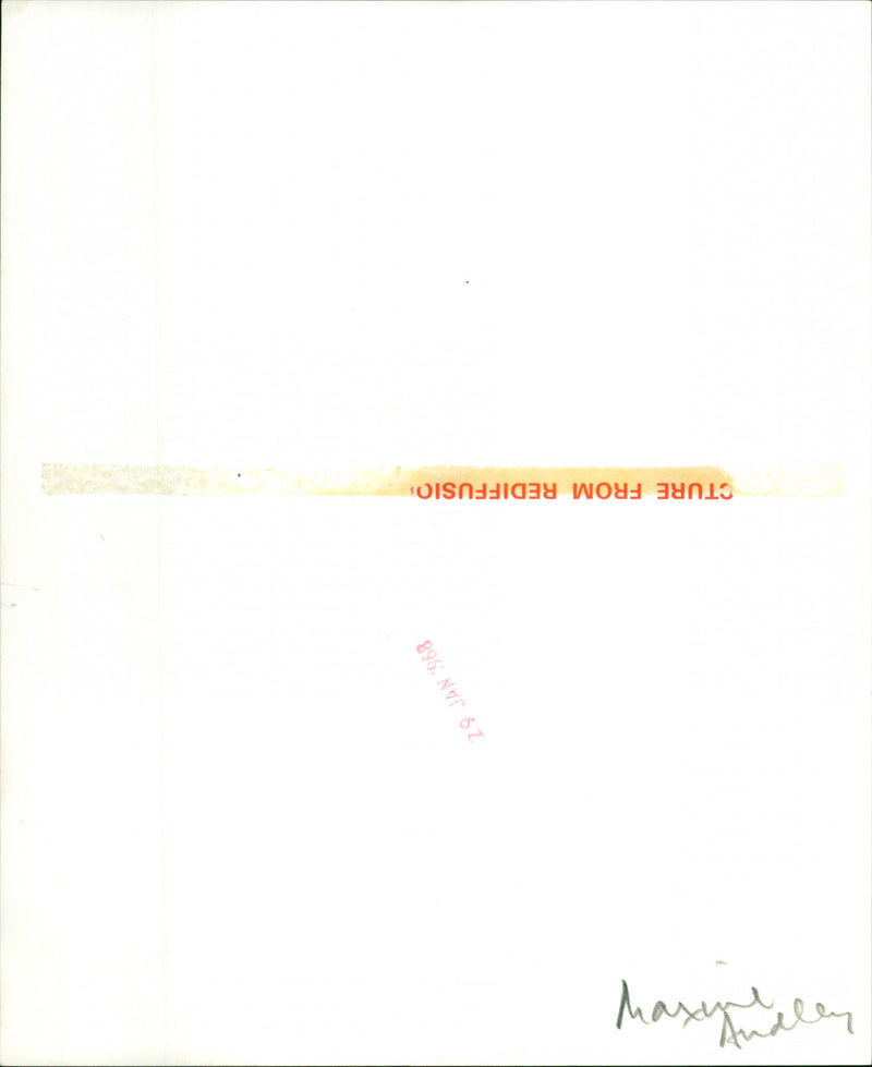 Maxine Audley - Vintage Photograph