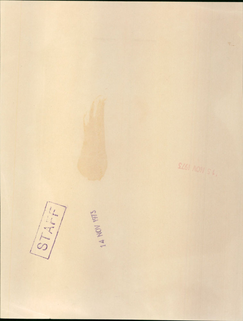 Captain Mark Phillips and Princess Anne - Vintage Photograph