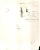 Moira Anderson - Vintage Photograph