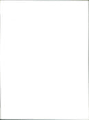 Ash band - Vintage Photograph