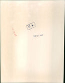 Princess Anne and her baby - Vintage Photograph