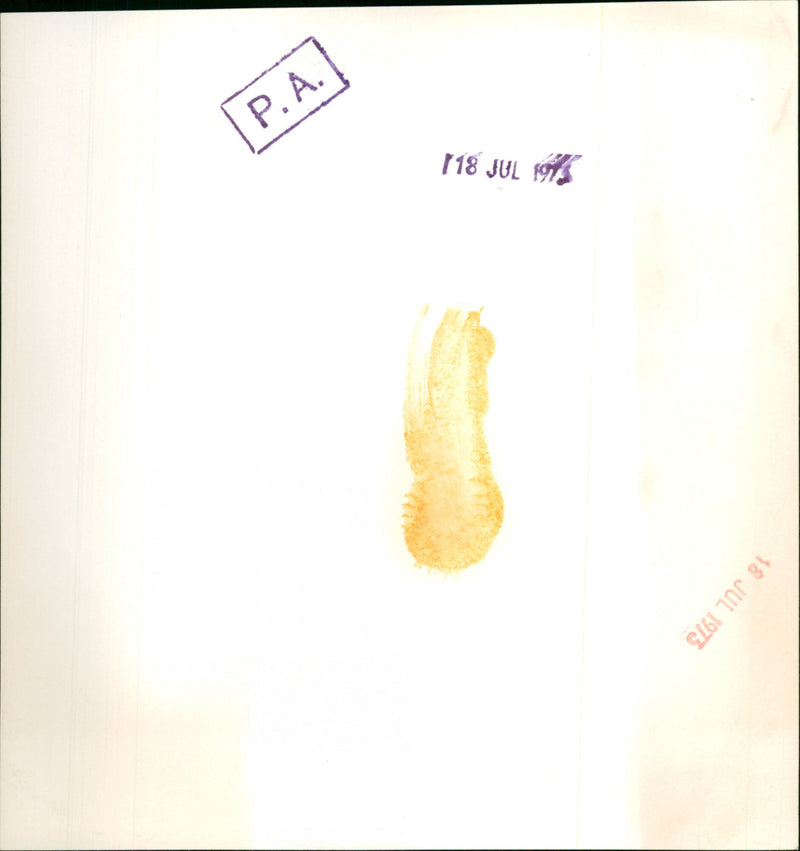 Marcello Caetano - Vintage Photograph