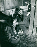 Jenny Bellingham - Vintage Photograph