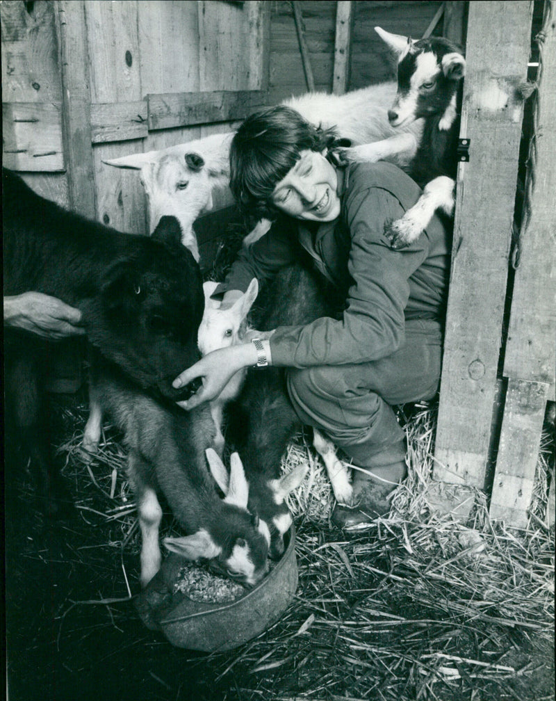 Jenny Bellingham - Vintage Photograph