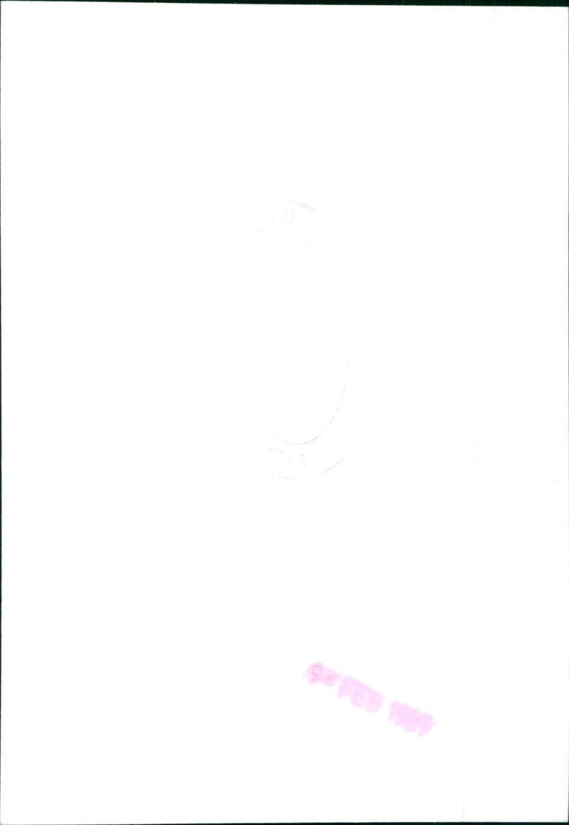 Princess of Wales - Vintage Photograph