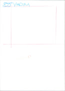 DJ Vadim - Vintage Photograph