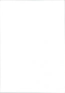 Charles, Prince of Wales - Vintage Photograph