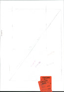 Charles, Prince of Wales - Vintage Photograph