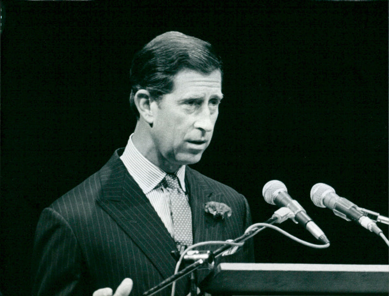 Charles, Prince of Wales - Vintage Photograph