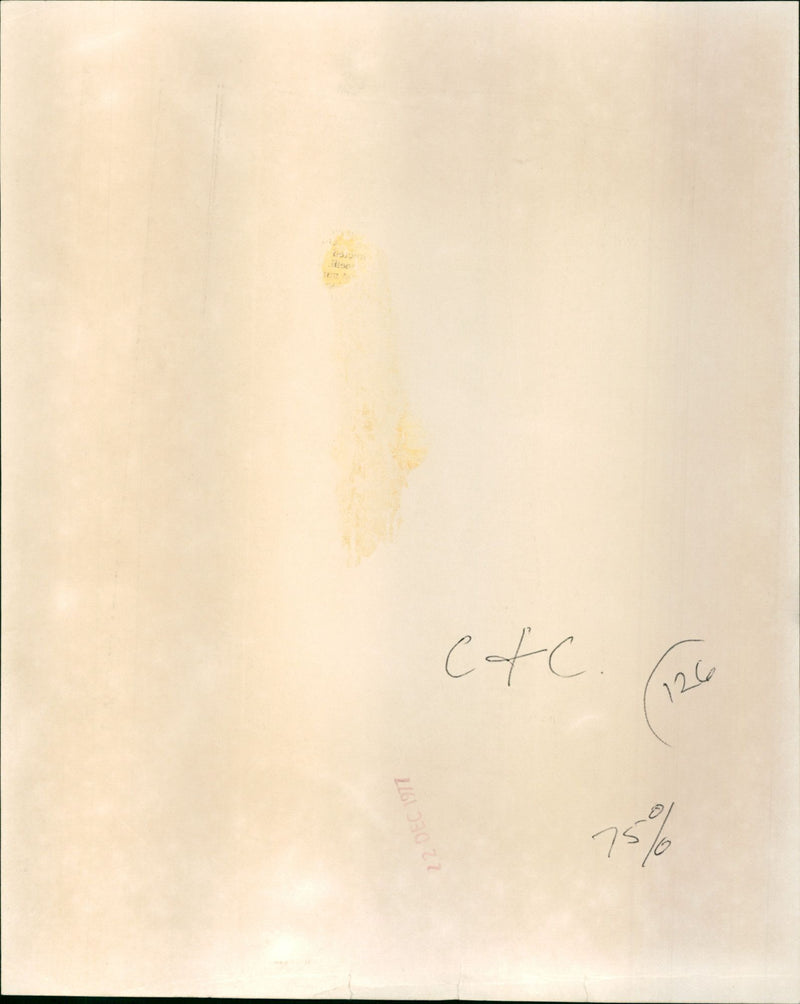 Princess Anne and her baby - Vintage Photograph