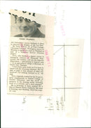 Terry Warren - Vintage Photograph