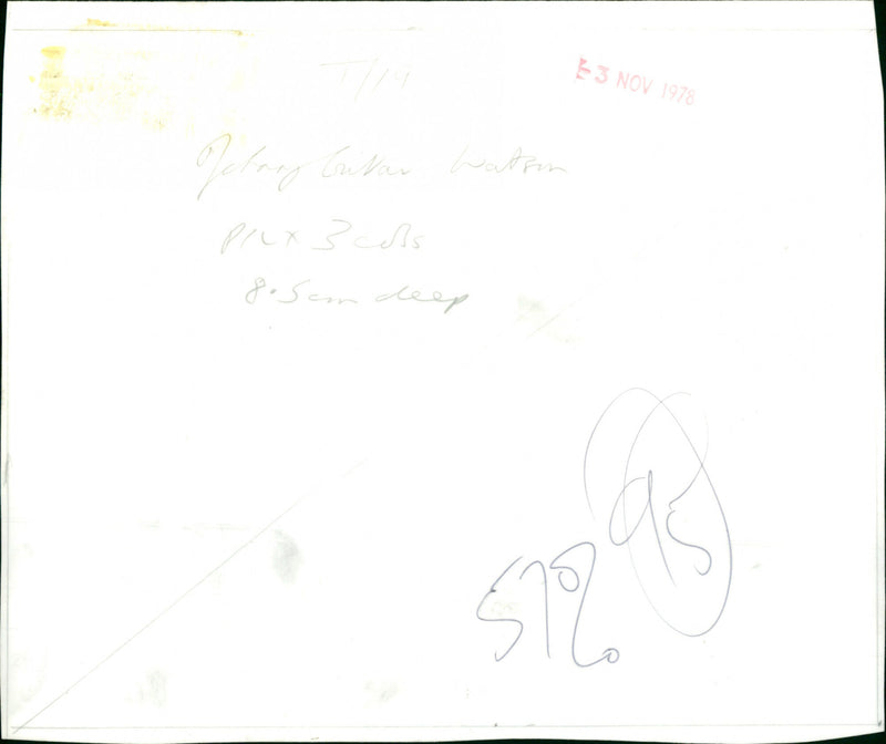 Johnny Guitar Watson - Vintage Photograph