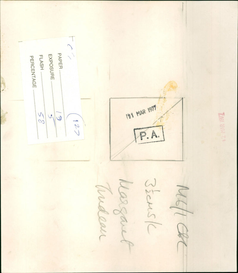 Margaret Trudeau - Vintage Photograph