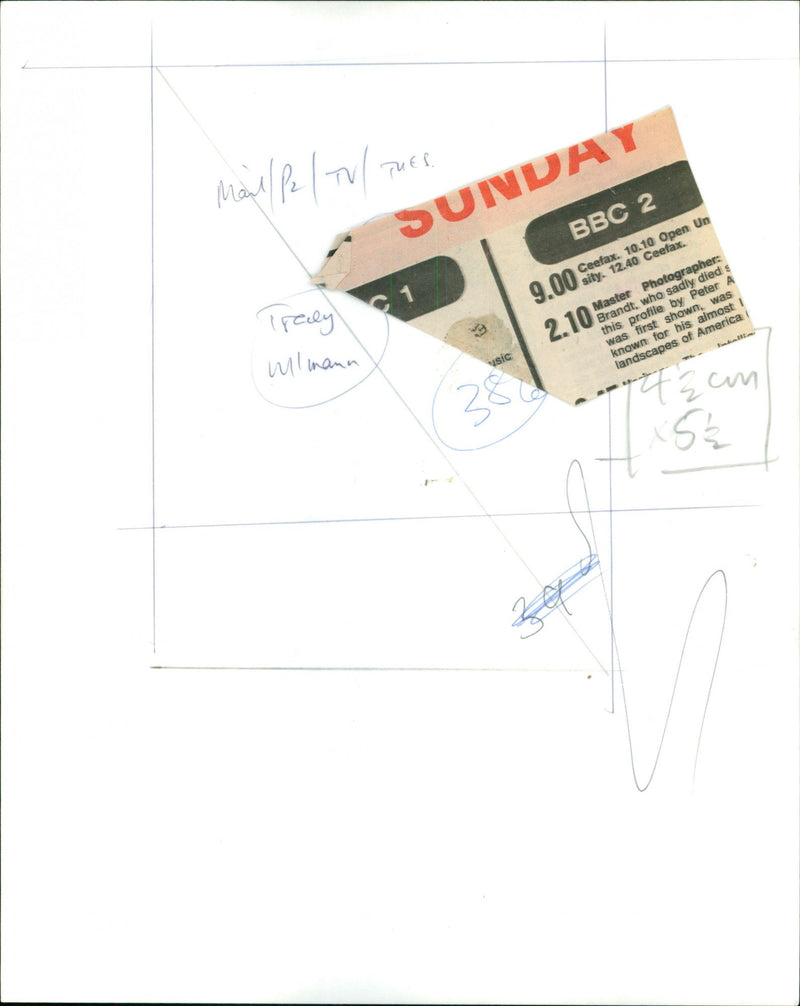 Tracey Ullman - Vintage Photograph