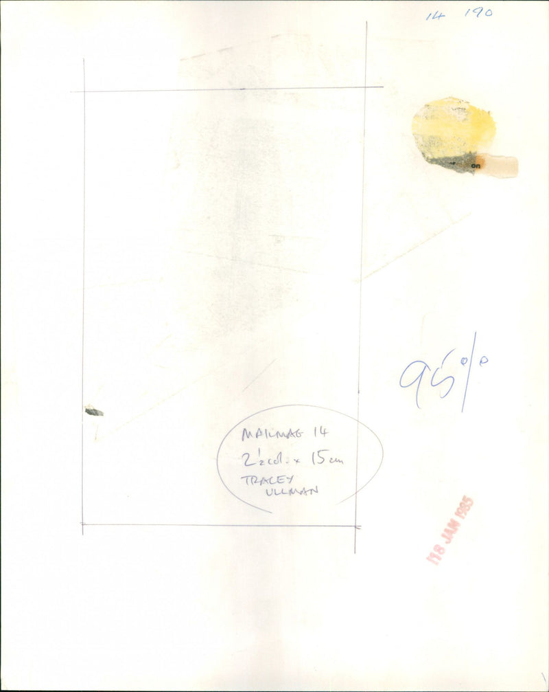 Tracey Ullman - Vintage Photograph