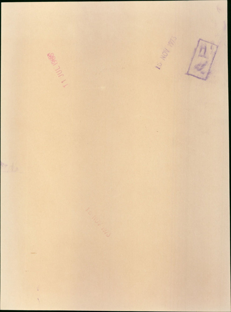 Captain Mark Phillips, Princess Anne and Sir Winston Scott - Vintage Photograph