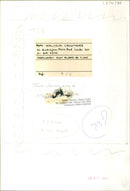 Trio Sonnerie - Vintage Photograph