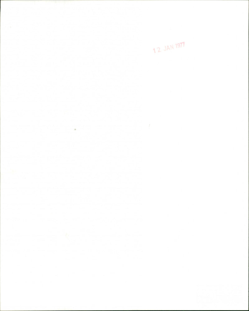 Johnny Guitar Watson - Vintage Photograph