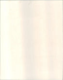 Tracey Ullman - Vintage Photograph