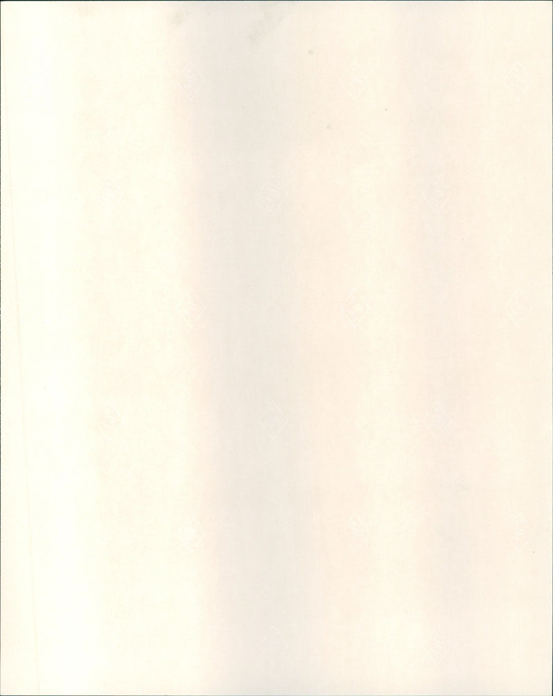 Tracey Ullman - Vintage Photograph