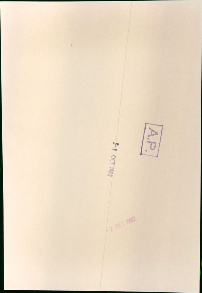 Danuta Walesa - Vintage Photograph