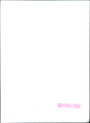 Princess of Wales - Vintage Photograph