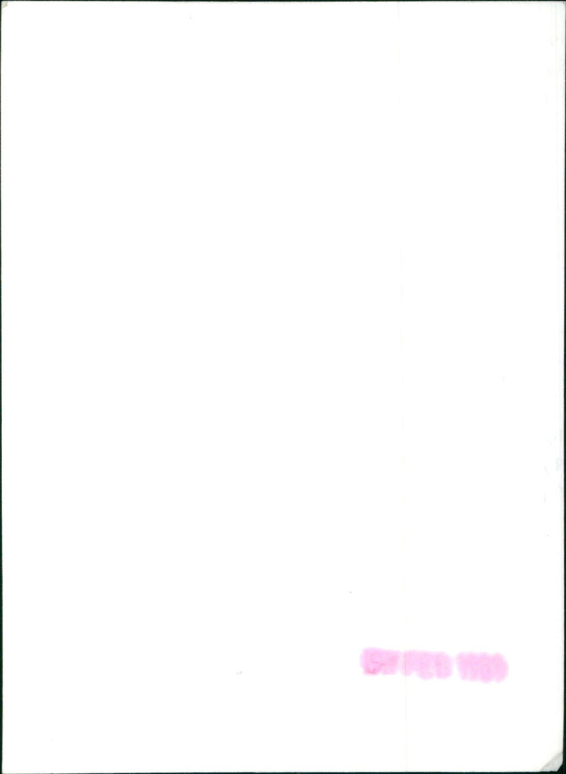 Princess of Wales - Vintage Photograph