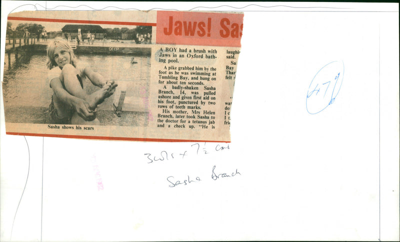 Sasha Branch - Vintage Photograph