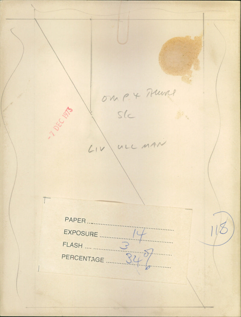 Liv Ullman - Vintage Photograph