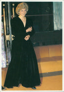 Diana, Princess of Wales - Vintage Photograph