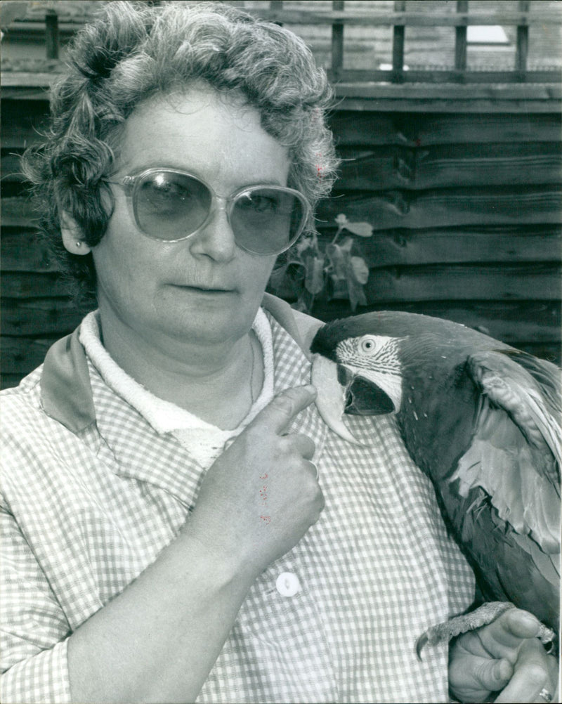 Sylvia Stone - Vintage Photograph