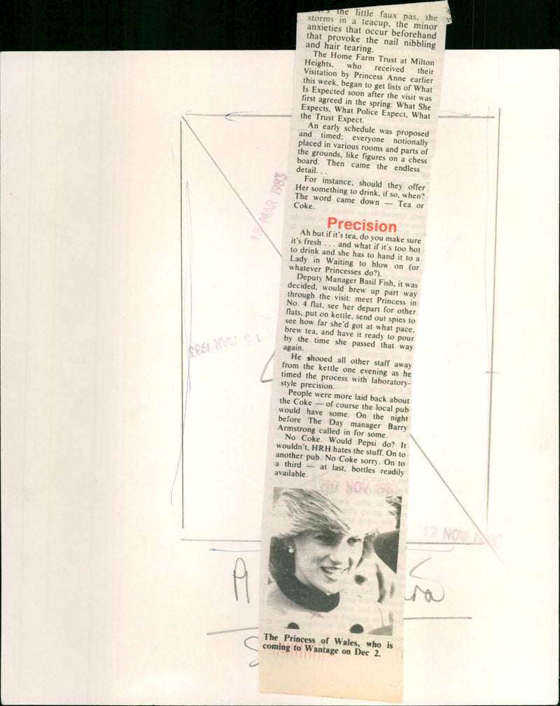 Diana, Princess of Wales - Vintage Photograph