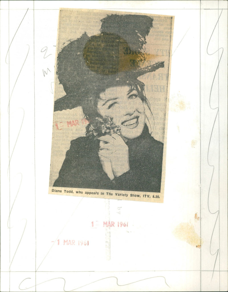 Diane Todd - Vintage Photograph