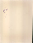 Diana, Princess of Wales - Vintage Photograph