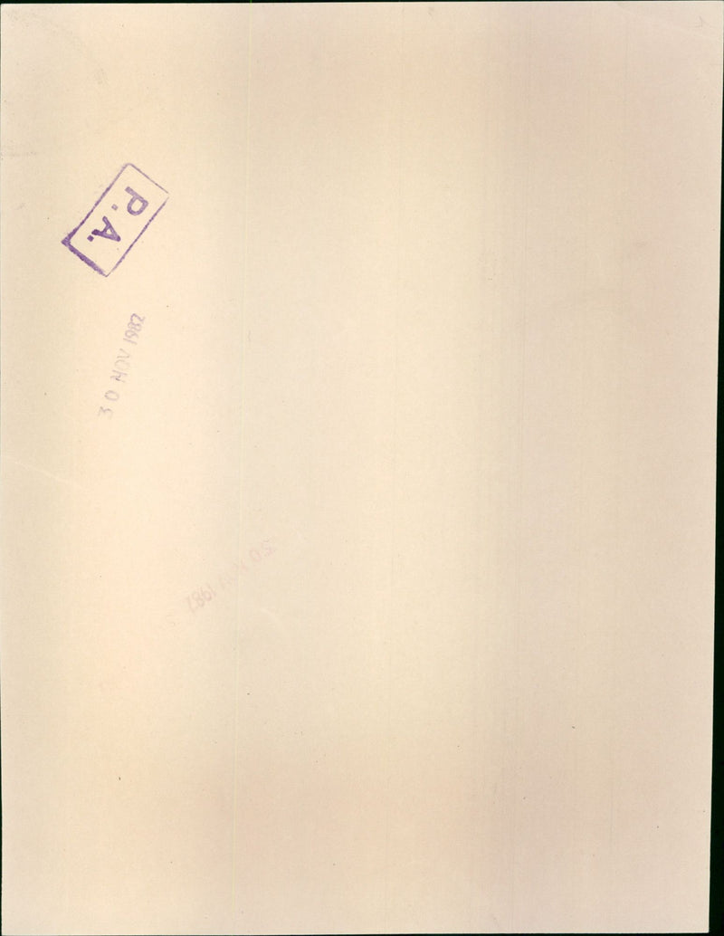 Diana, Princess of Wales - Vintage Photograph