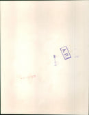 Lana Turner - Vintage Photograph