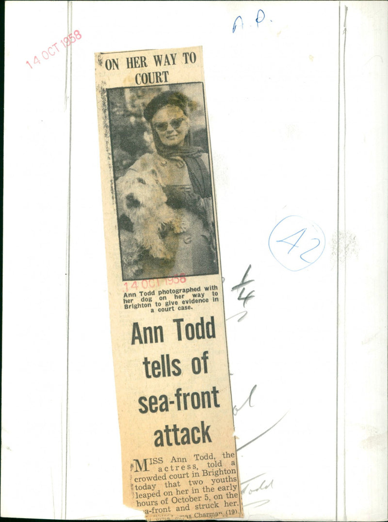 Ann Todd - Vintage Photograph