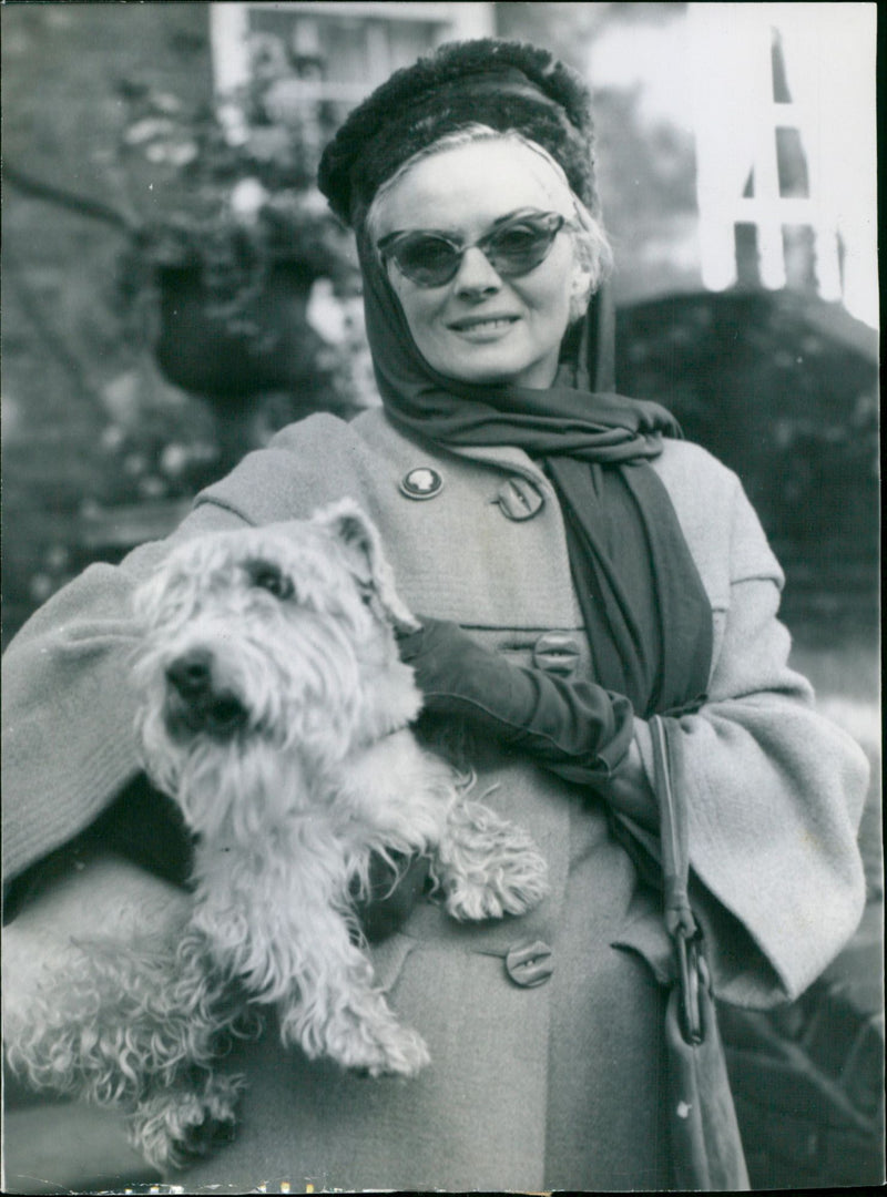 Ann Todd - Vintage Photograph