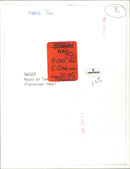 Twiggy - Vintage Photograph