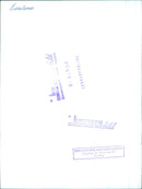 Children skate on a frozen lake in Stockholm, Sweden. - Vintage Photograph