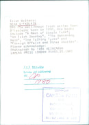 Irish writer Sean O'Faolain - Vintage Photograph