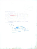 Gina Lollobrigida in "Buona Sera, Mrs. Campbell" - Vintage Photograph