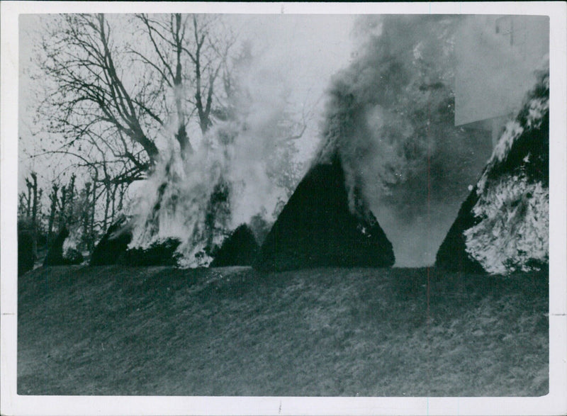 Destruction of the beautiful garden at Skaugum in Norway - Vintage Photograph