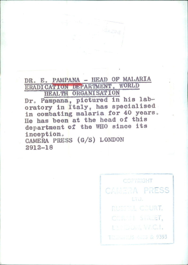 Dr. E. Pampana, Head of Malaria Eradication Department at WHO - Vintage Photograph