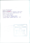 Thomas O'Higgins, Shadow Minister of Finance - Vintage Photograph