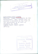 Mgr. Giobbe to be created a cardinal - Vintage Photograph