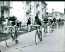 Gosta Gimondi, Lioli, and Ght Pettersson Boifava at the 54th Giro d'Italia - Vintage Photograph